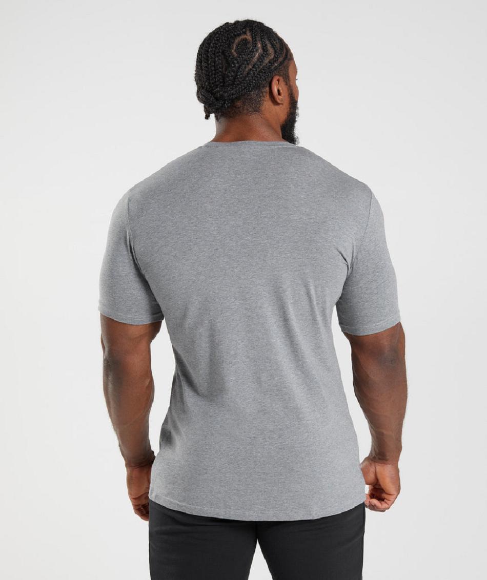 T Shirts Gymshark Essential Hombre Gris | CO 3314LIS